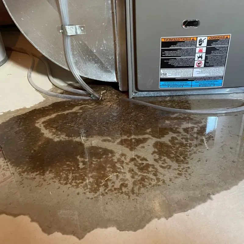 Pipe Burst and Leak Restoration in Utah County, UT
